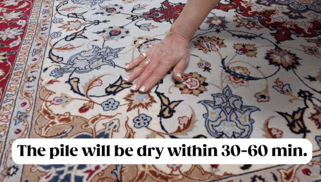How to clean a silk rug for Muriersilk How to clean a silk rug - Muriersilk